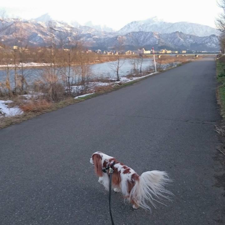 731a2598 276f 493b ab2c cc09288d4adb 1545379985707