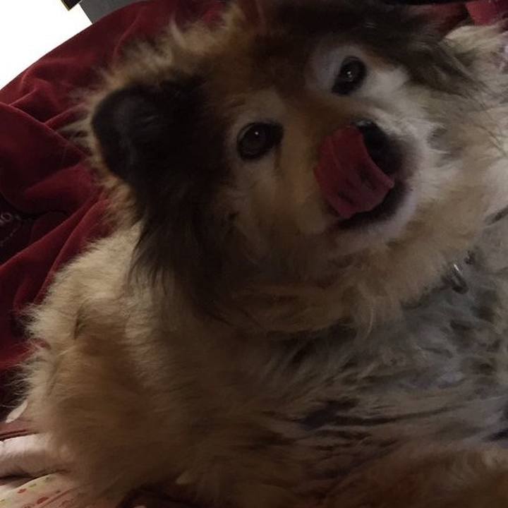 731a2bf0 3463 47b4 ace9 545306f45f7e 1583159369911