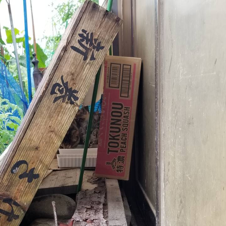 731a9322 3cc4 469b 8545 e142283f8558 1691386388711