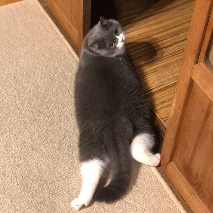 731a972e 3e93 4af2 8055 11ad6d0931d8 1629936013853