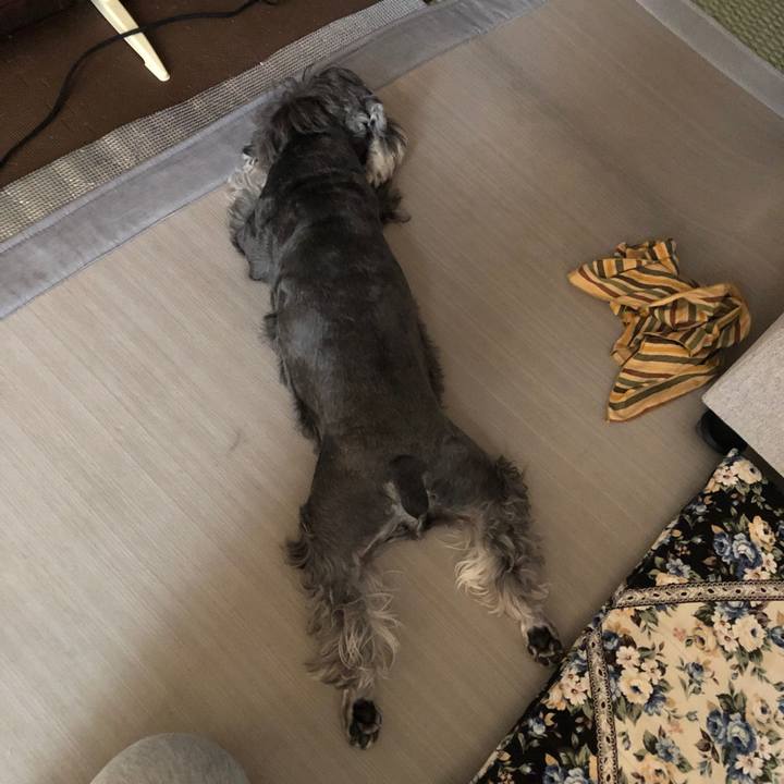 731accbe 7021 4e99 a2cf 0be924064c3d 1628408155208