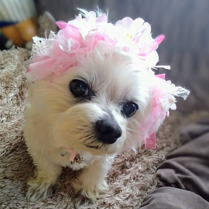 731b4456 cc83 44d0 b488 245dbebc3ea6 1742474509810