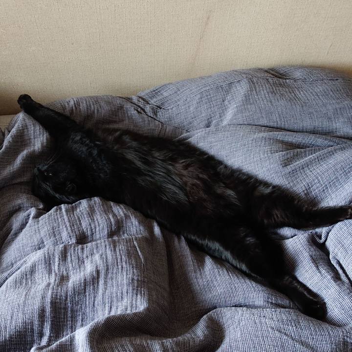 731b7fc0 6b0f 4e7d bb3c 0ba64467412c 1650781376295