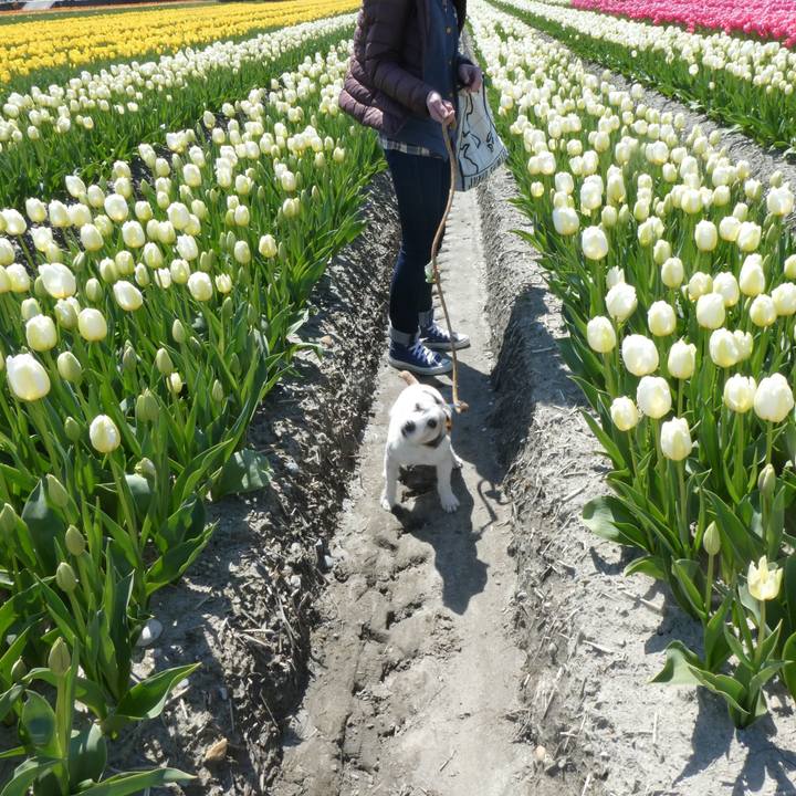 731b867c 729b 4193 9da1 eeedc3551c8e 1618121161073