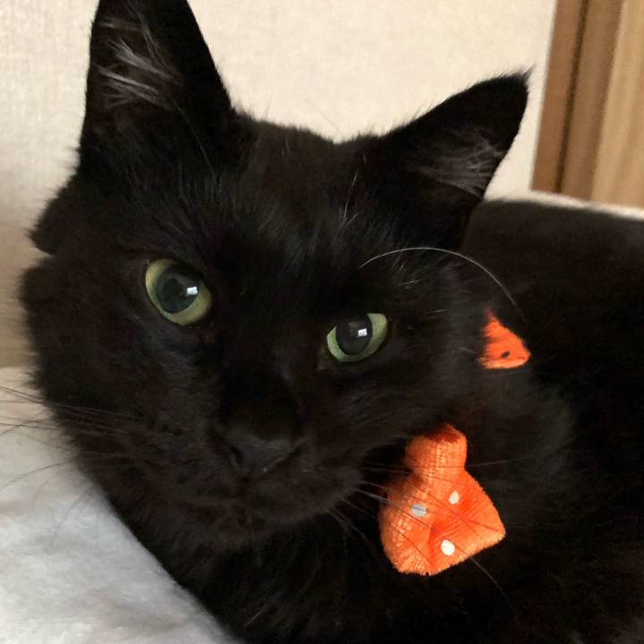 731c2433 ed15 4a6a 8603 09b4ef418bde 1599895185106