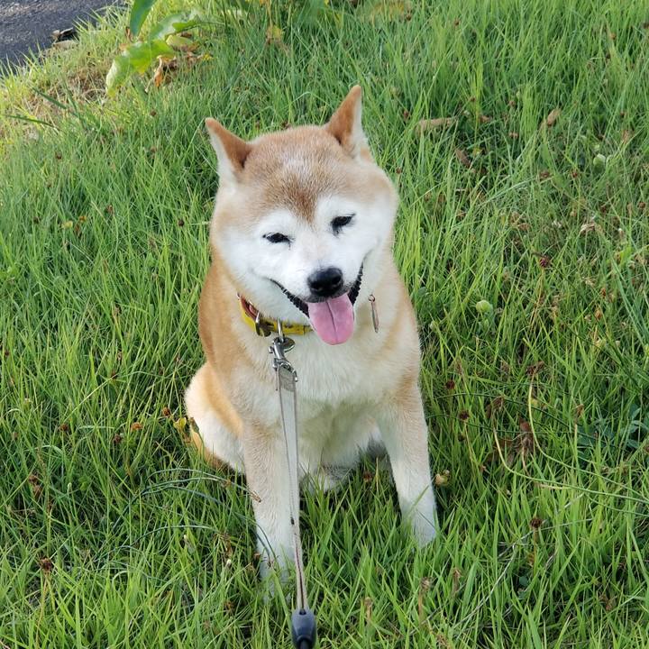 731c2701 2493 4f1a 9147 a5cde252e200 1692001121453