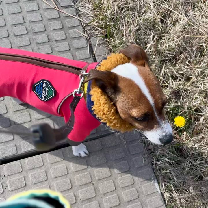 731c4cfa e2f5 4c9d 8d55 ee3b4c22da99 1647509386350