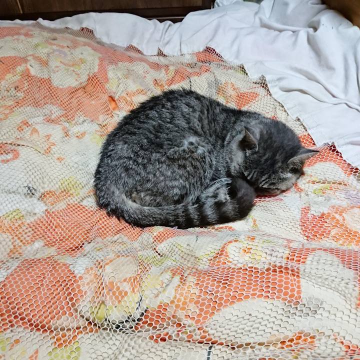 731c9545 cd04 49d1 8328 a12d03b1e141 1605783654973