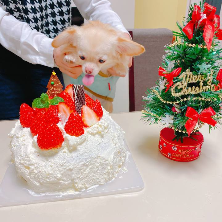 731ca126 b667 49db 9ea6 7e557bbcc919 1640422040354