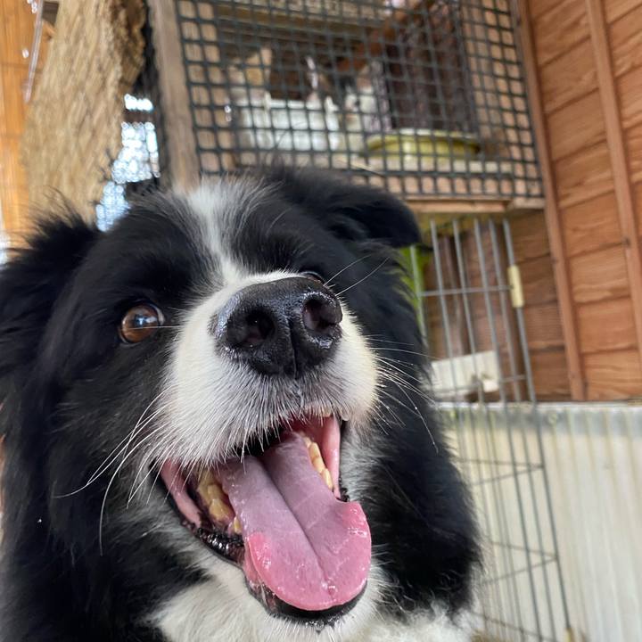 731cc7c9 76f4 4159 a8db c90515179ac0 1629423496009