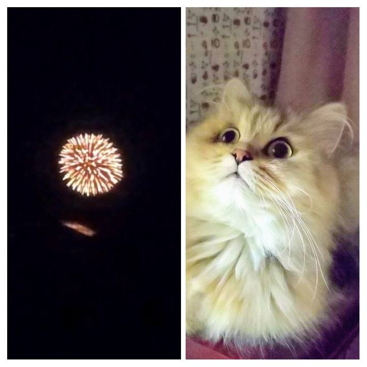 731d067a 0b78 404f a91e 0603667c7bc3 1632192529560