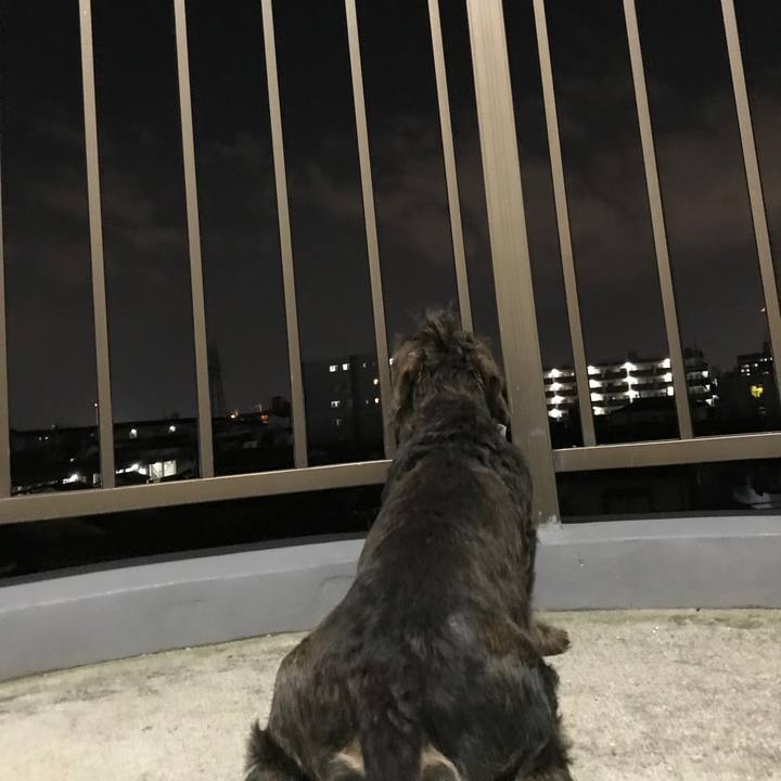 731d08b3 18ba 436e a79a f0fbaf500eab 1562506109245