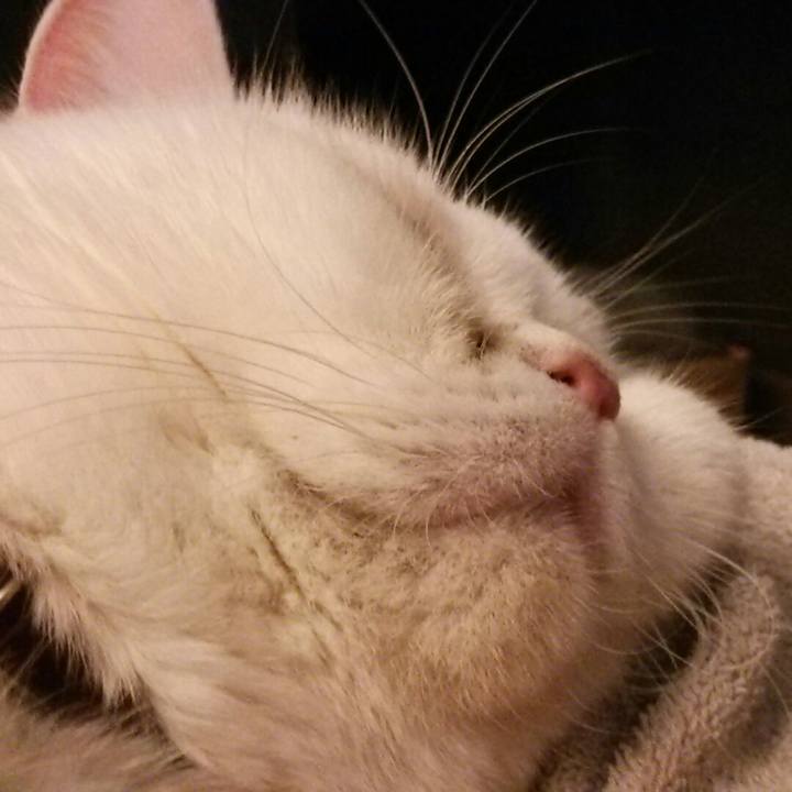 731d1104 1ed4 4682 8ed5 53086f2be8bc 1550715399396