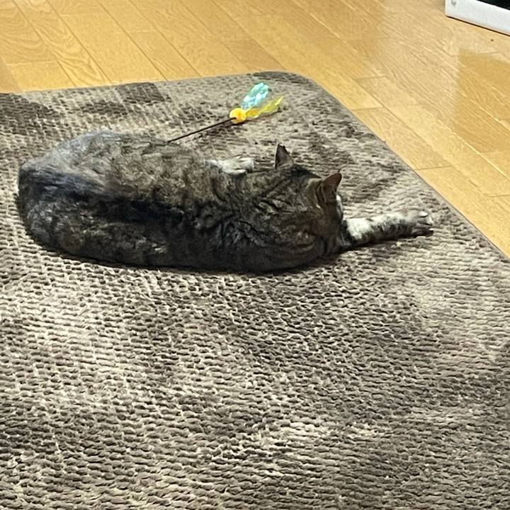 731d1954 9e0a 47d8 865a 7db5d69ae987 1617169128807