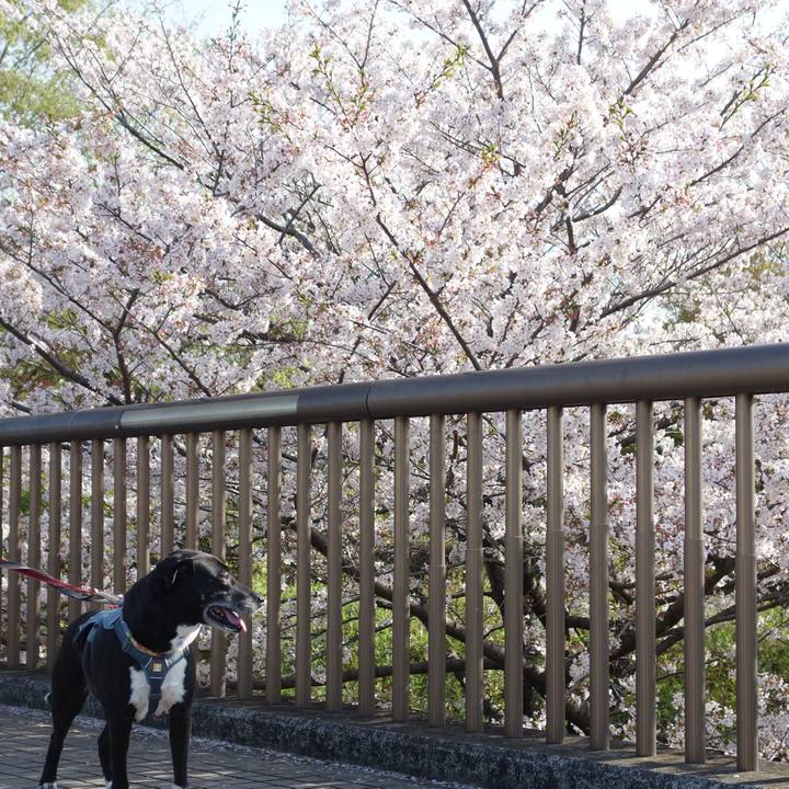 731d477a b365 4063 8b47 7f8e6a24097e 1712796527370