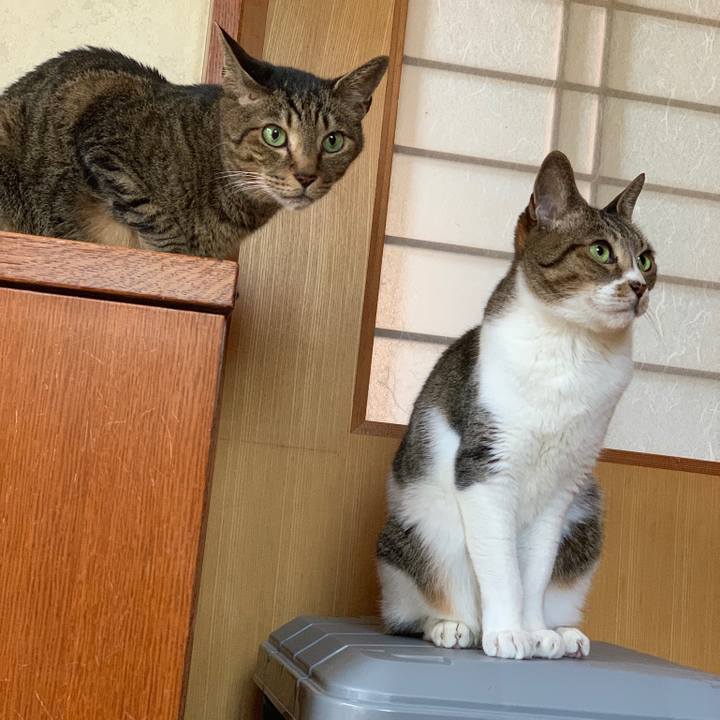 731d588e 699f 41f7 9f6e 6aaa700f0794 1564011815037