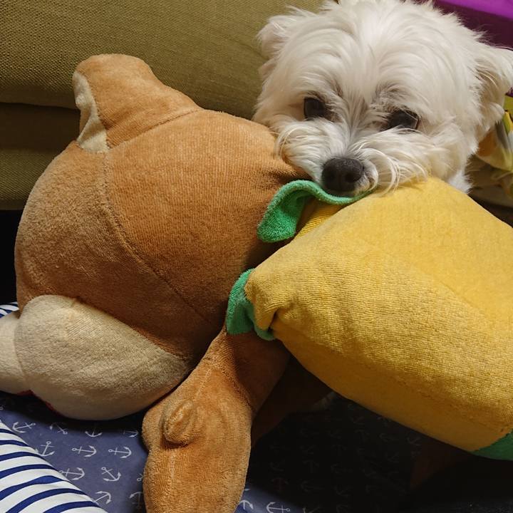 731d7bb3 ce4e 4bdd 9527 62fa5c74a6bd 1561550979997