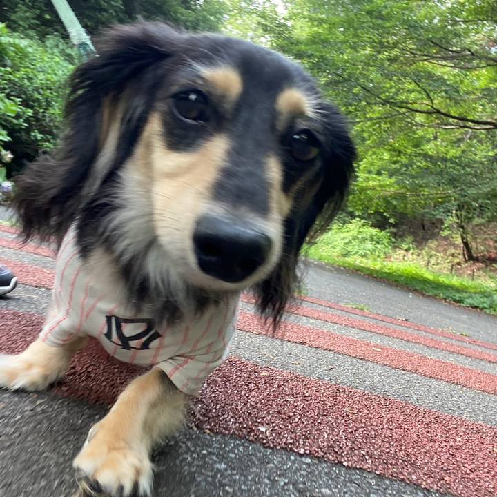 731daf9e 0f5a 4255 8b18 c93939230f9a 1751776461455