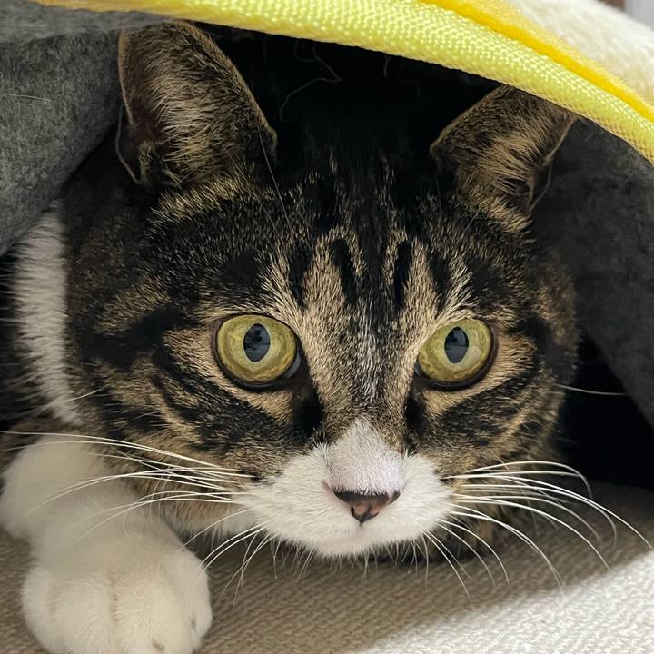 731db12a 3717 4727 a212 ac6202376dec 1766534631352