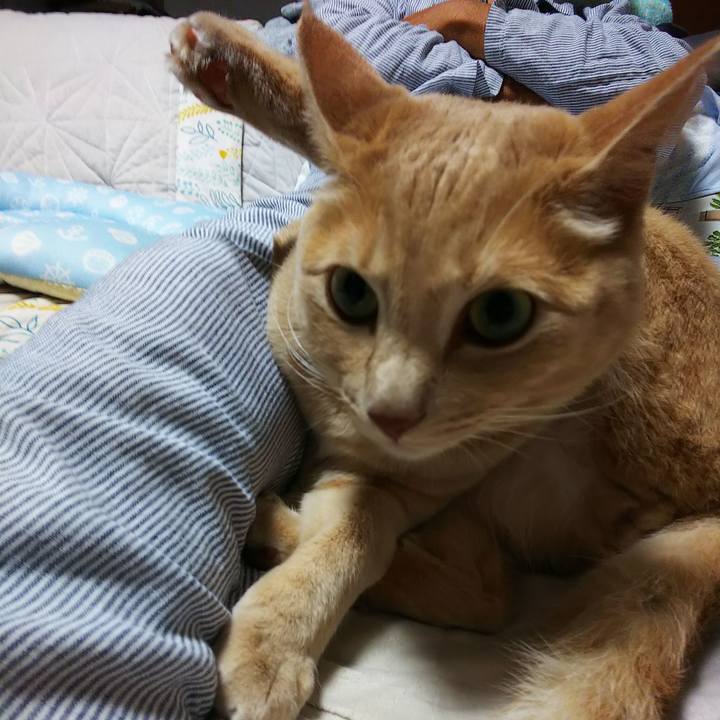 731db84f 7e32 4325 9d54 15b1c3416d99 1599996987337