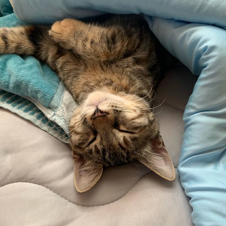 731dd61e 7908 4e06 bb6c 3fbf1abe8b31 1596530416773