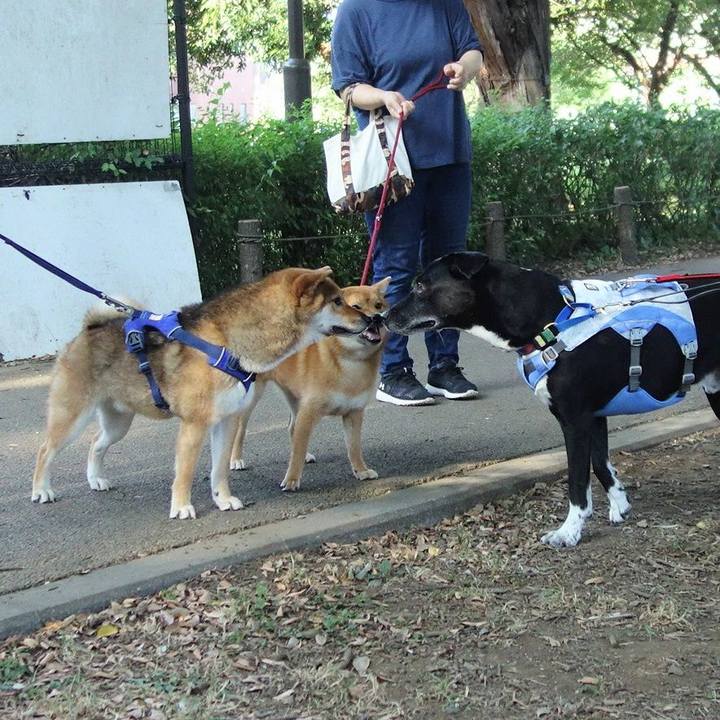 731e0dbe 7c2d 48b8 901e 5fcbce338000 1691281259415