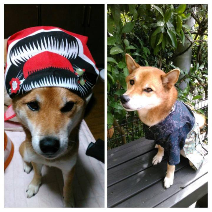 731e4a73 0ac3 4f77 9b71 9a74a6b33778 1508856326117