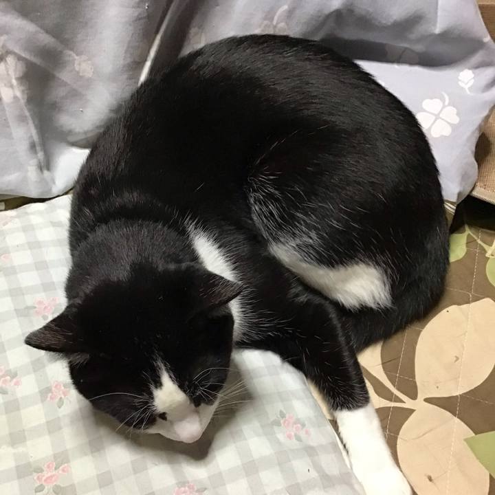 731e71ae 139f 4d0e 872a 9ff5947f98d1 1732532060522