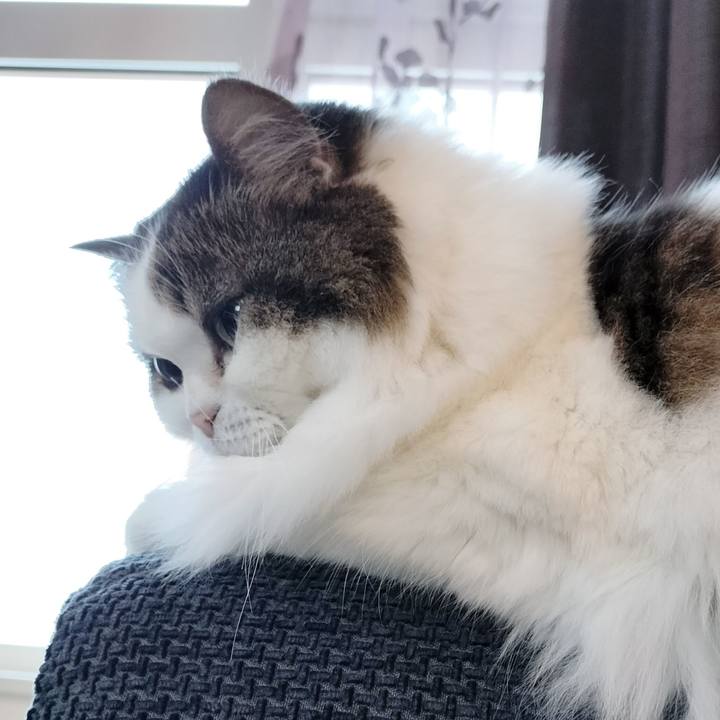 731eaca9 5a81 486c a18a ba35d1c10a10 1768775611807