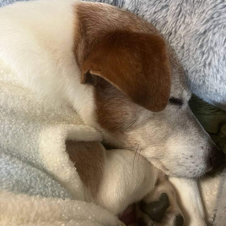 731eb85d 1435 4617 bcd7 e00f5c249067 1766535354636