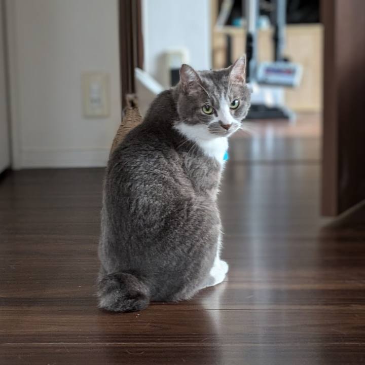 731ebafa c124 49d3 92a8 dbee4dd82bc2 1726704619734