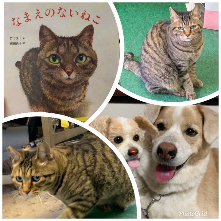 731ec093 1fb8 476c 8afd 6e26e2d8a842 1577201006561