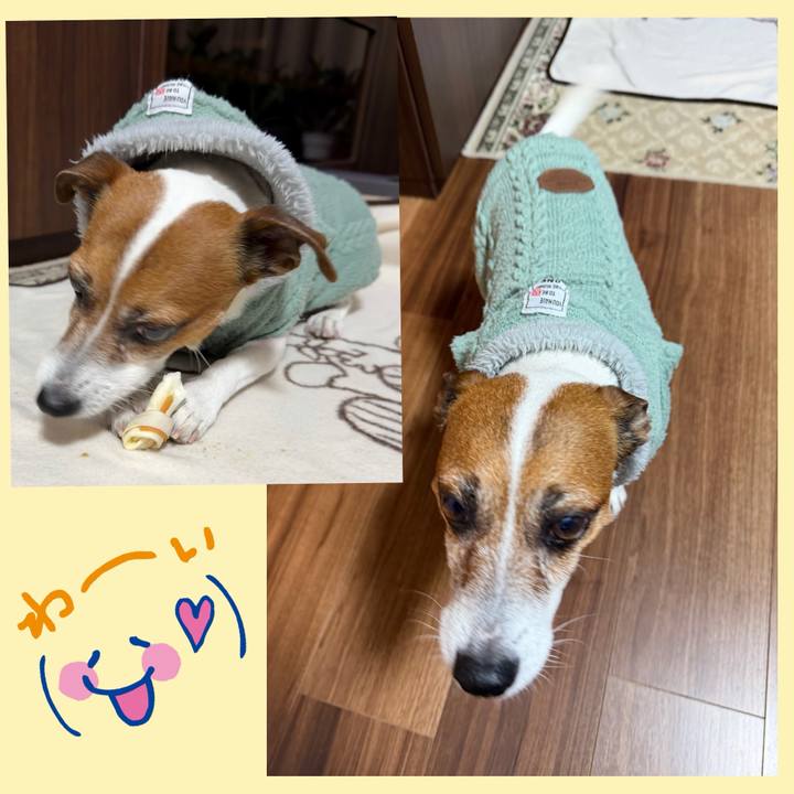 731ee4e6 e54b 4e26 964b b54da0cc255f 1773619141871