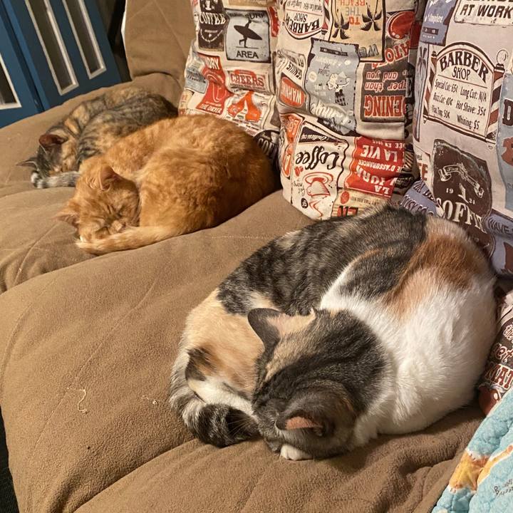 731eeb13 0248 45af aba3 ac97e7568377 1585156437004