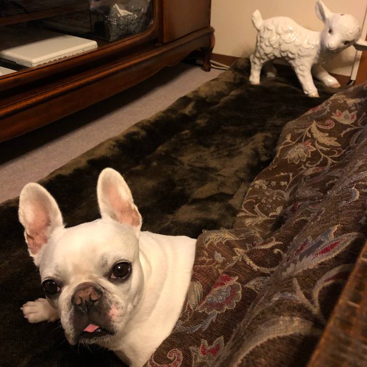 731f0c7f 068f 43bb af09 510d1ddafcba 1605184169966