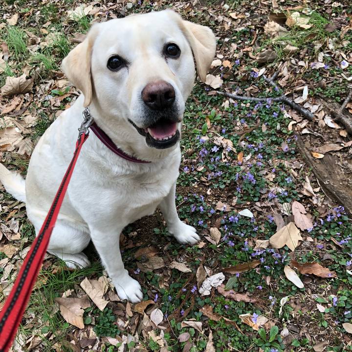 731f40ee 5603 44e7 8d77 a11a650cba58 1648786688666