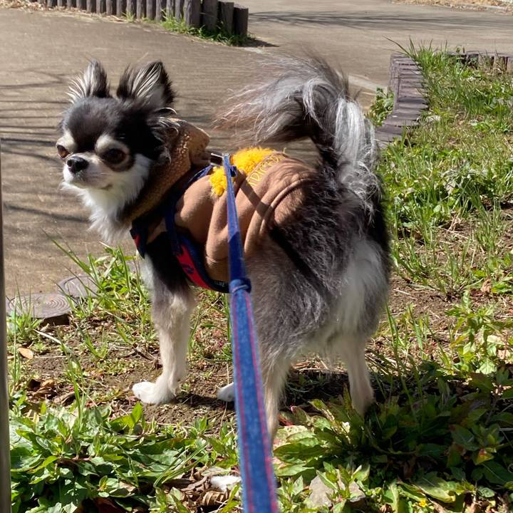 731f4d07 86b6 483a 8790 1aa21b4b76fe 1710047428288