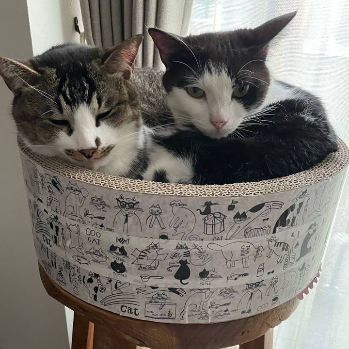 731f587c 5867 4e65 84af 04303836041b 1649827194652