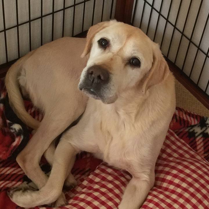 731f5cc7 5297 4030 8d53 34f17ce65b2c 1548042916686