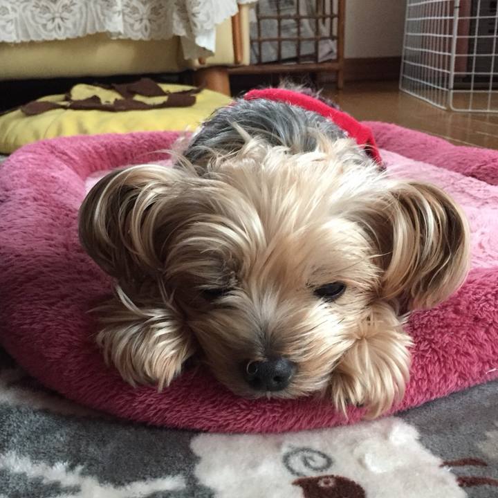 731fc095 0b13 4652 b6a9 c0b46d7e234a 1541975712633