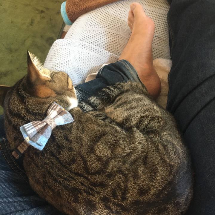 731fc1bd eb3a 40cc 8a6c 019c396f171c 1701491316891