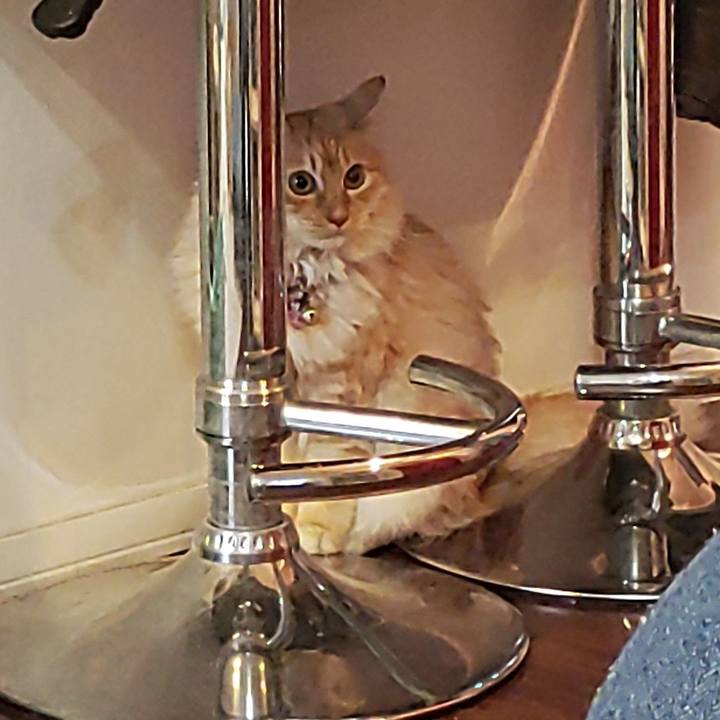 731fd5a1 39ec 4cab a2ee 3ebfc91de954 1671680476097