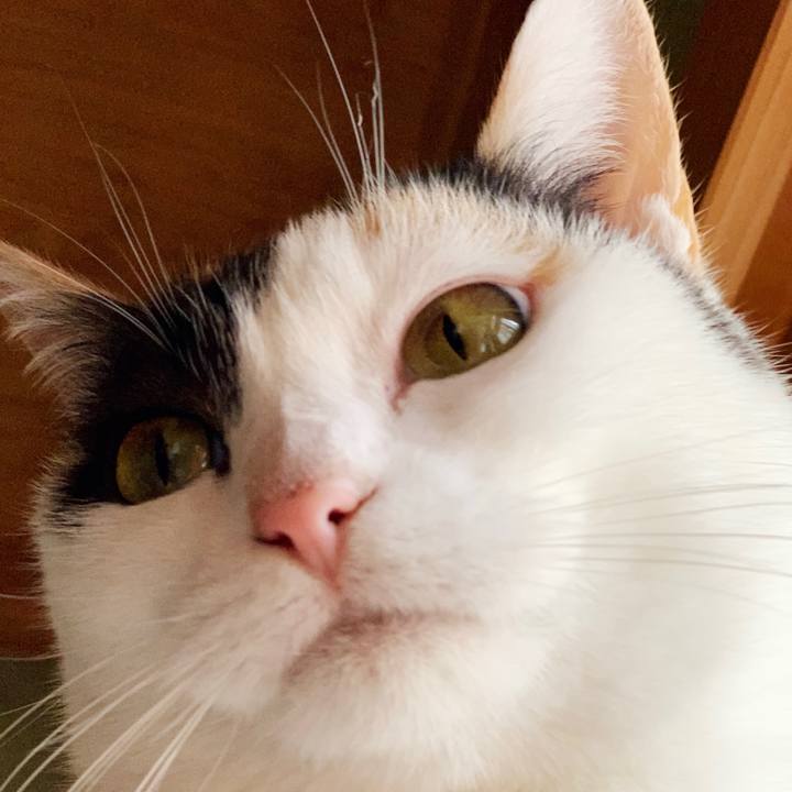 731fea3e ac16 454a 8256 8ba91afbc021 1549936849624