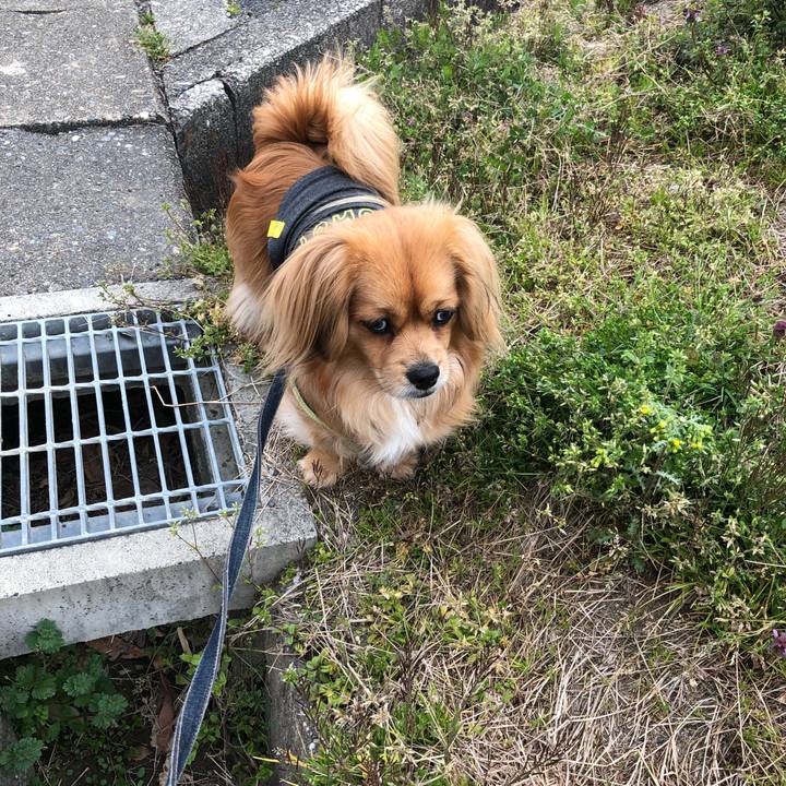 731feaff e98a 4bbd 8314 82fd58ea059c 1553812066420