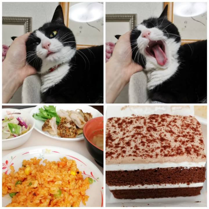 7320380d 92ae 437f bcd3 869f60b7bd00 1608884574429