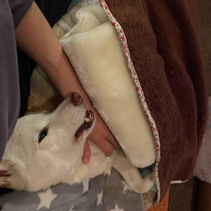 7320762e b40c 4f16 8a44 2a74851e31cf 1670765547455