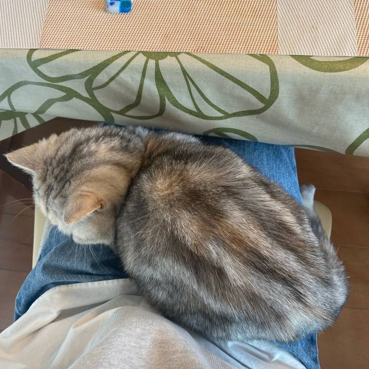 7320797e 1134 4ba8 8868 bdf21024953d 1737693862622