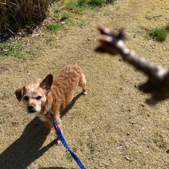 7320799f f867 4b30 a78d 9de9d3e10774 1710291387207