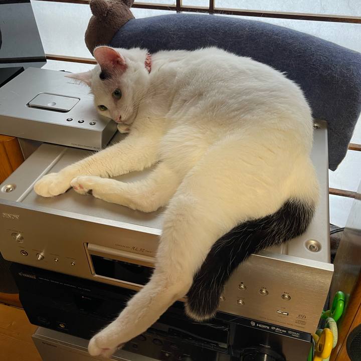 73209978 76c5 42b9 9347 ba1fdd011d22 1755643660596