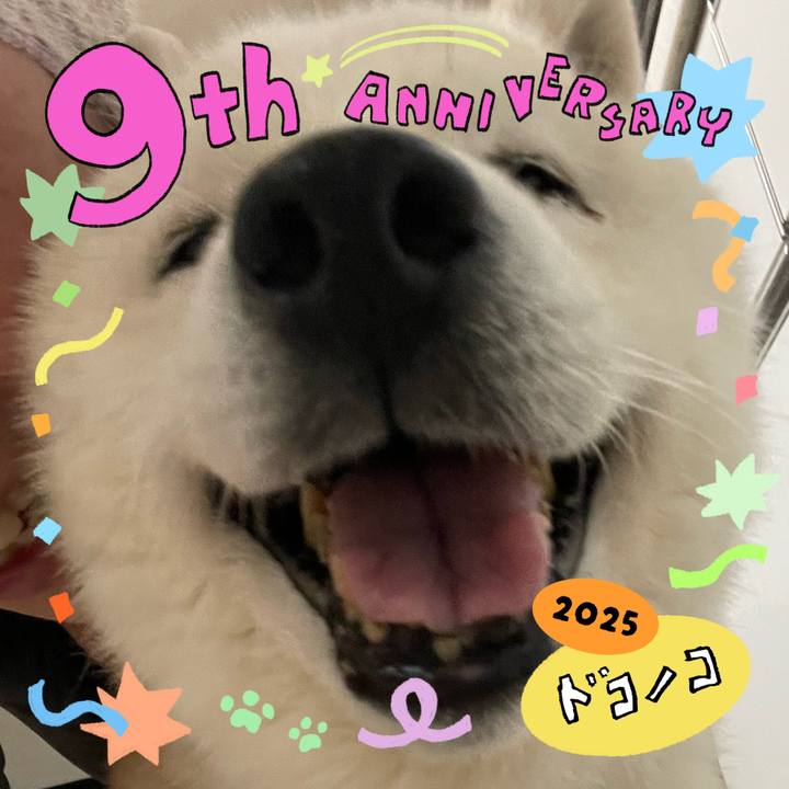 7320a333 1496 4d4c b5c7 f63b55afee4f 1749131461478